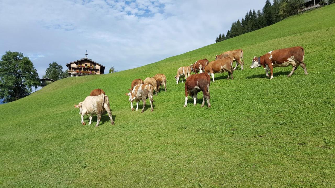 Berggasthof Schatzbergalm Thierbach Exterior photo